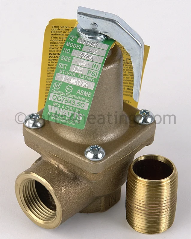 Raypak 007224F Pressure Relief Valve 125 PSI