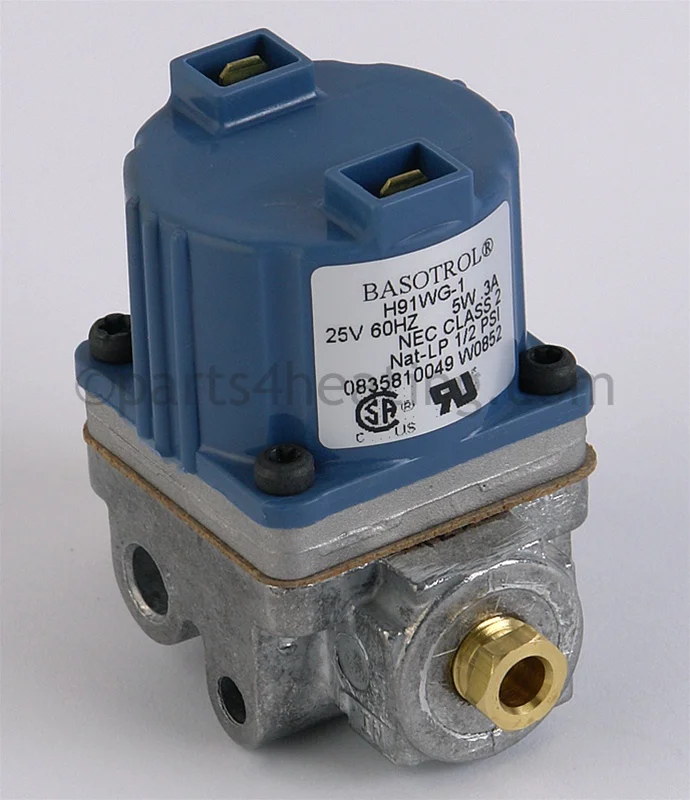 Raypak 600562 Pilot Gas Valve 24V All Gases