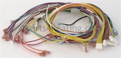 Details about  / Pentair//Sta-Rite 42001-0058s Heater Wiring Harness
